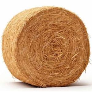 Oaten Hay Round Bale