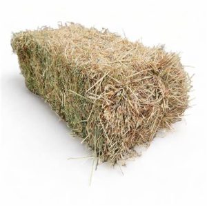 Single Small Square Oaten Hay