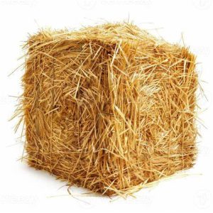 Single Small Square Straw