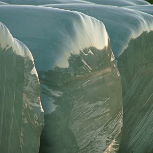 round balls, hay bales, straw, dry, feed, cattle feed, bale, hay, foil, silage, agriculture, winter feed, field, straw role, wrapped up, packed up, harvested, feed stock, plastic, hayball, rolled, silage, silage, silage, silage, silage